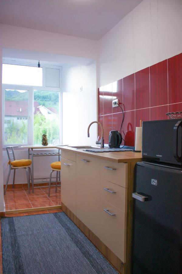 Vlad'S Downtown Apartment Petrila Екстер'єр фото